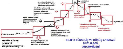 Döviz Kurundaki Yükseliş ve Düşüş Trendlerinin Analizi