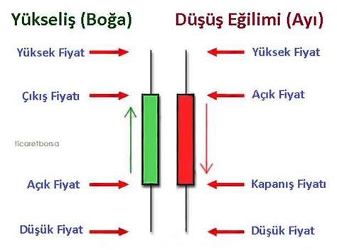 Borsa Grafikleri Nasıl Okunur