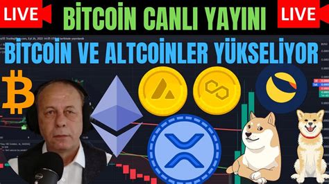 Bitcoin ve Altcoinler İçin Usta Yatırımcı Analizi: 2024 Yorumları